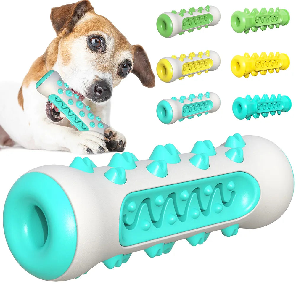 Durable Dog Toothbrush Chew Toy for Interactive Dental Care